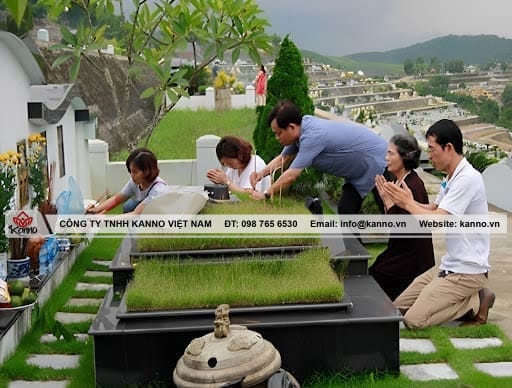 Mộ kết là gì? Dấu hiệu nhận biết và ý nghĩa tâm linh Mộ kết là gì? Dấu hiệu nhận biết và ý nghĩa tâm linh Cách chăm sóc và thờ cúng mộ kết