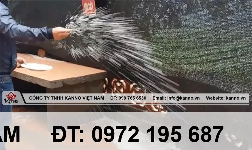 muoi gao cung than tai xong lam gi 2 Kanno Việt Nam