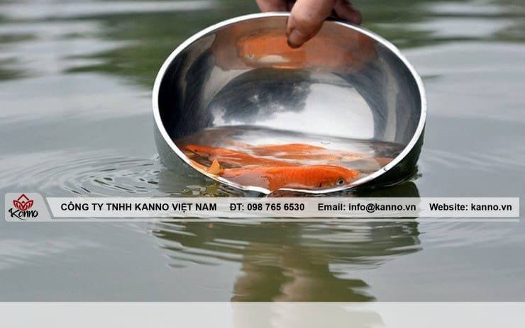 Phóng sinh ngày Cô Hồn